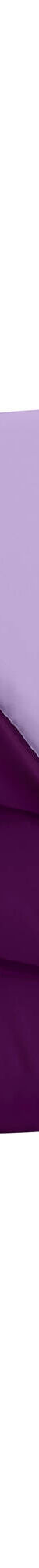 Couette bicolore microfibre 500 g/m² (aubergine / parme) Couette bicolore microfibre 500 g/m² (aubergine / parme)
